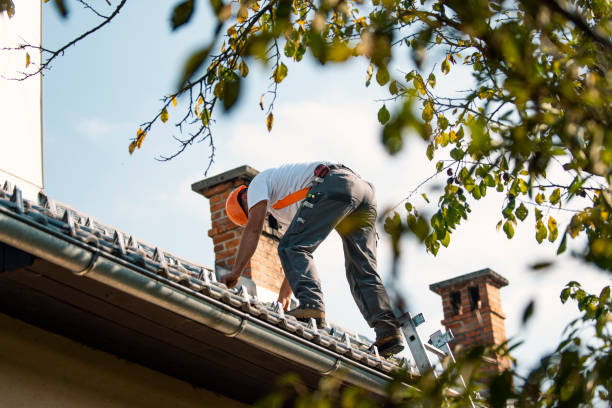 Roof Gutter Cleaning in Man, WV