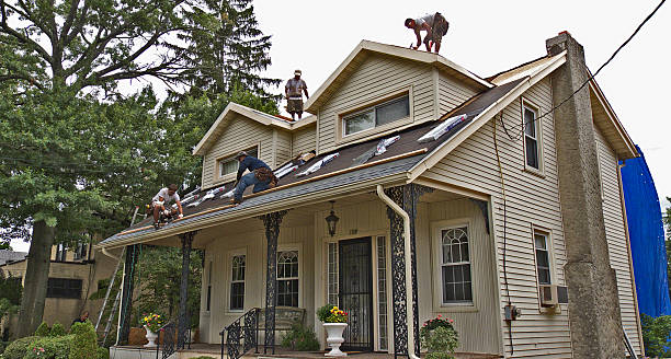 Best Roof Waterproofing Services  in Man, WV