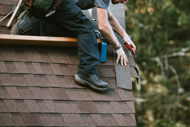Best Roof Maintenance Services  in Man, WV